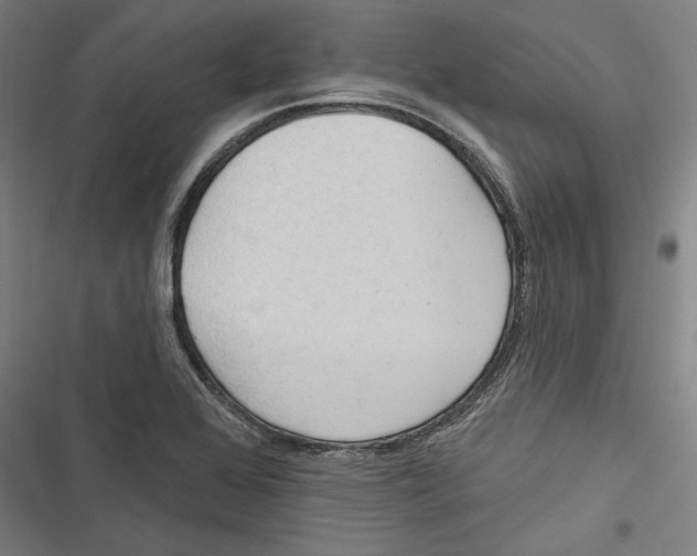 X0000116851368201001191631