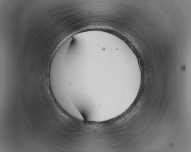 X0000116851369201001191631