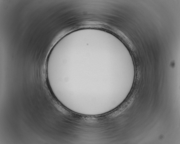 X0000116851370201001191631