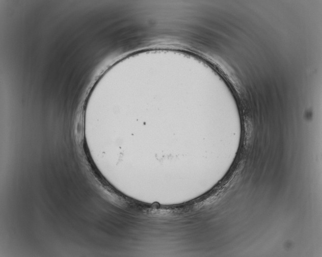 X0000116851371201001191631