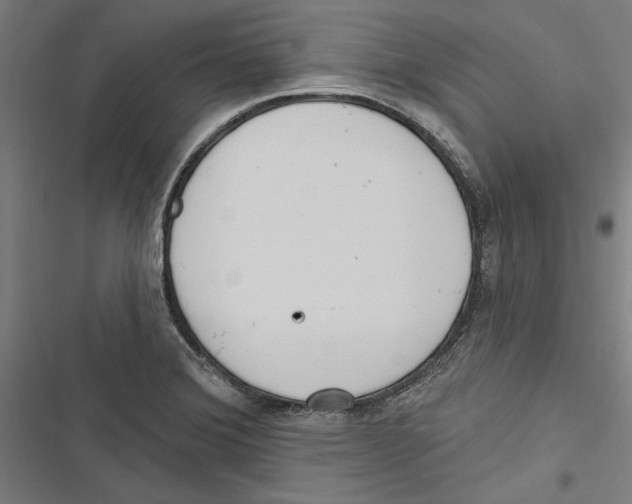 X0000116851372201001191631