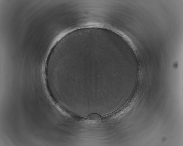 X0000116851373201001191631