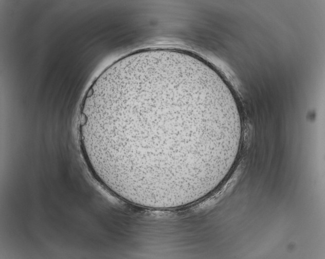 X0000116851374201001191631