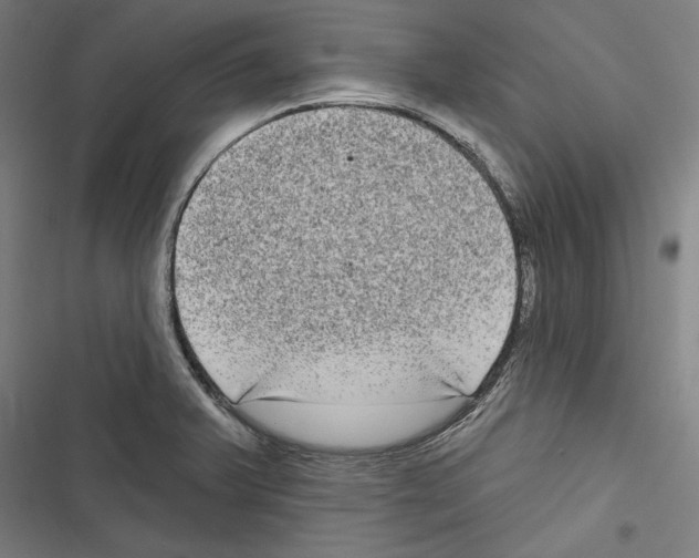 X0000116851375201001191631