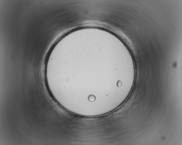 X0000116851376201001191631