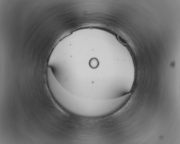 X0000116851377201001191631