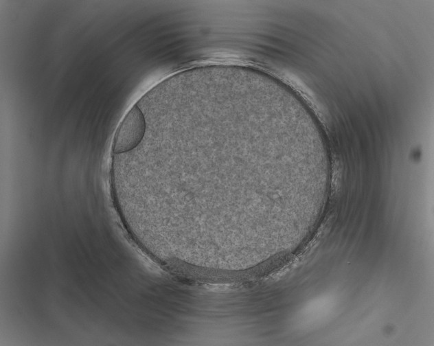 X0000116851378201001191631