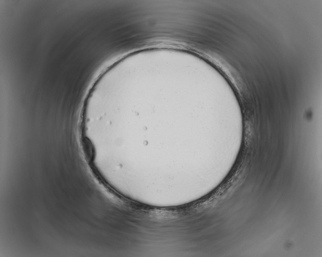 X0000116851379201001191631