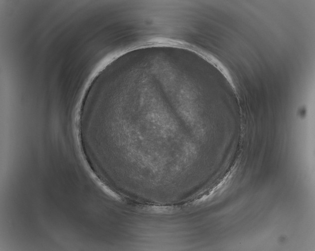 X0000116851381201001191631