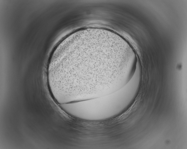 X0000116851384201001191631