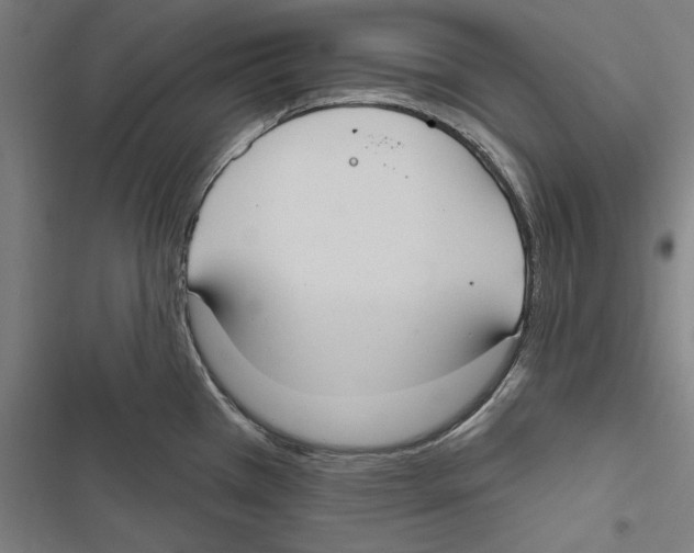 X0000116851385201001191631