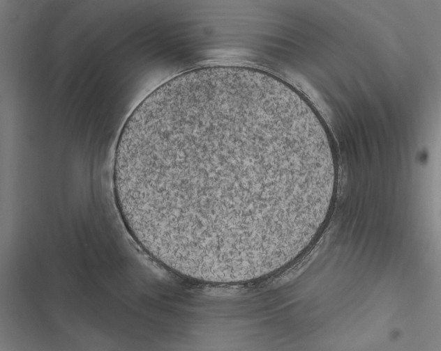 X0000116851386201001191631