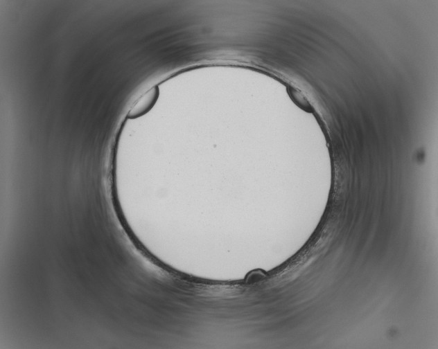 X0000116851387201001191631