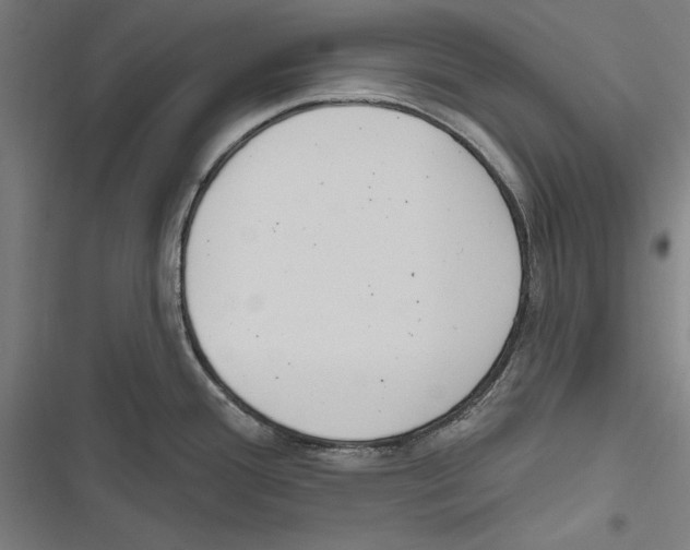 X0000116851388201001191631