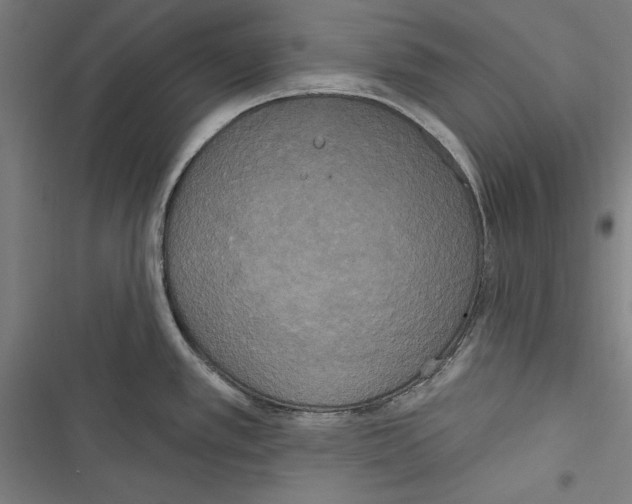 X0000116851389201001191631