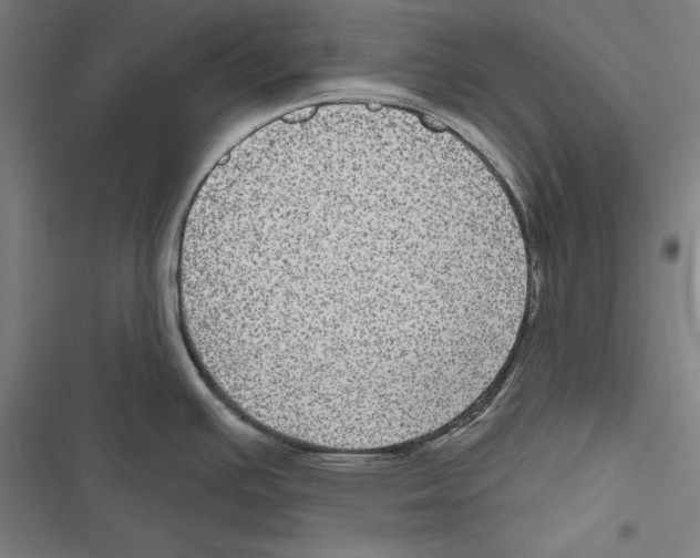 X0000116851391201001191631