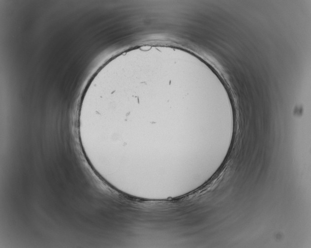 X0000116851392201001191631