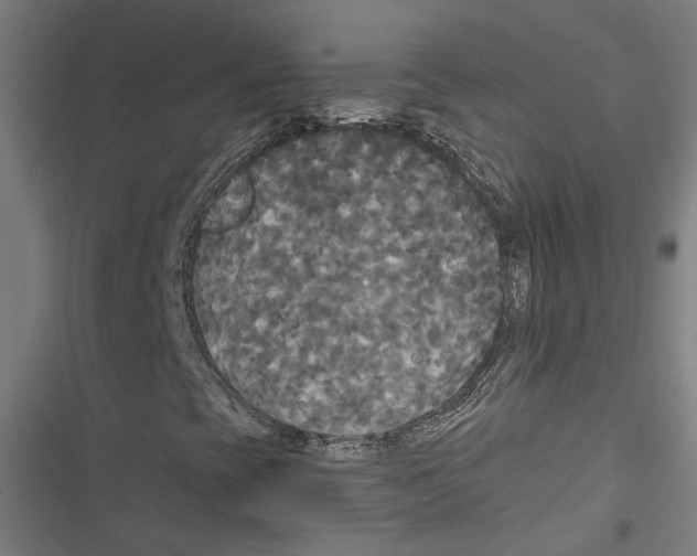 X0000116851393201001191630