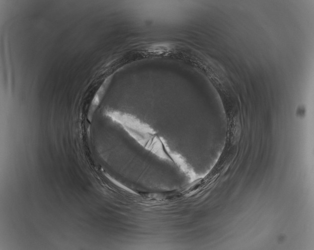 X0000116851394201001191630