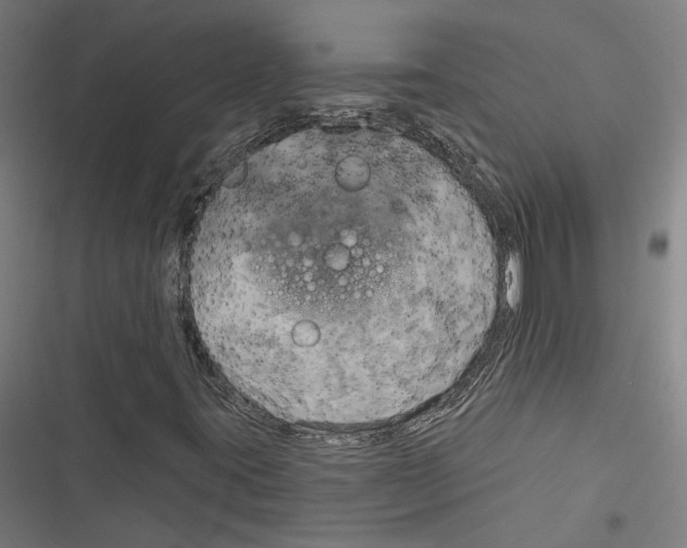 X0000116851395201001191630