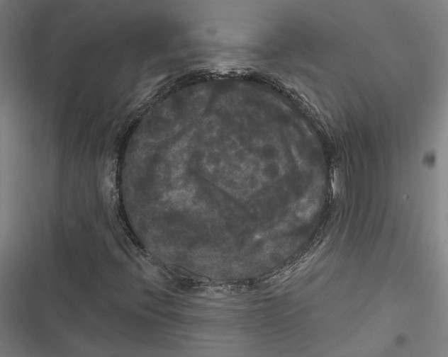 X0000116851396201001191631