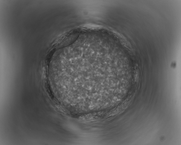 X0000116851397201001191631