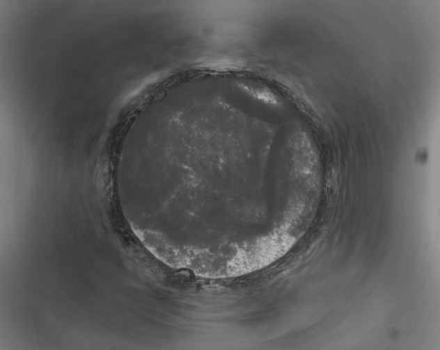 X0000116851398201001191631