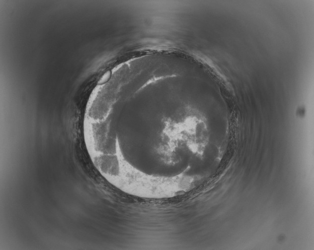 X0000116851399201001191631