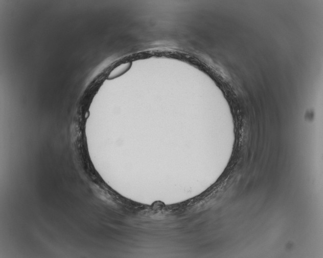 X0000116851400201001191631