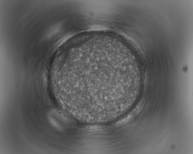X0000116851401201001191631