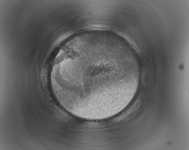 X0000116851402201001191631