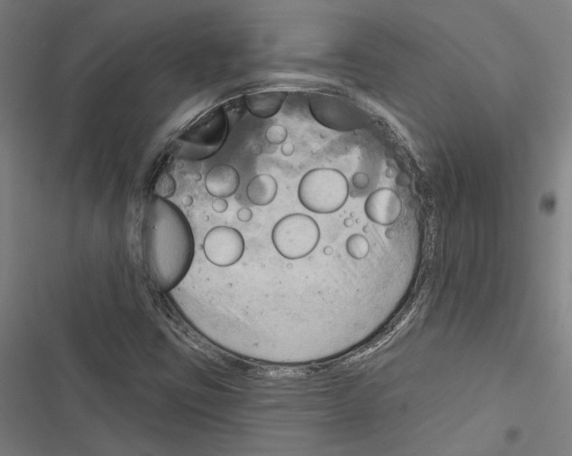 X0000116851403201001191631