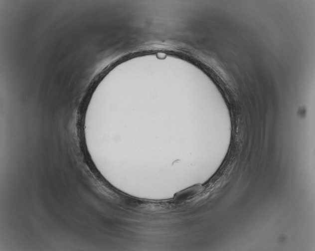 X0000116851404201001191631