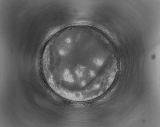 X0000116851405201001191631