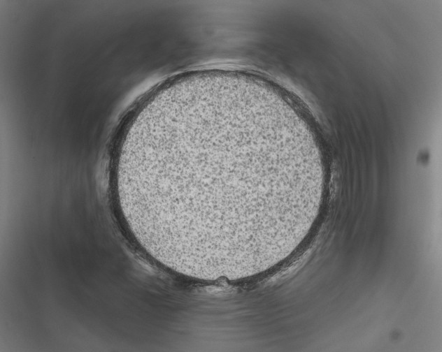 X0000116851406201001191631