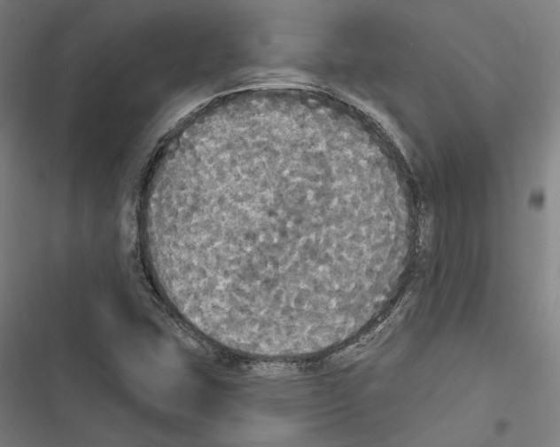 X0000116851407201001191631