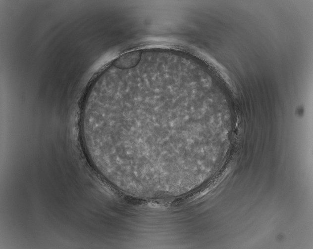 X0000116851411201001191631