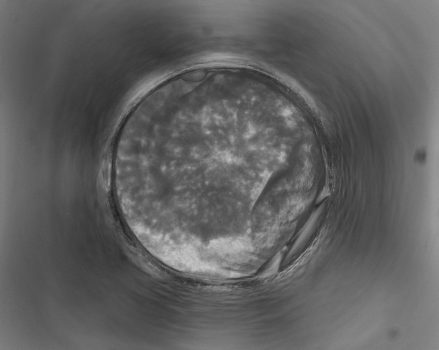 X0000116851413201001191631