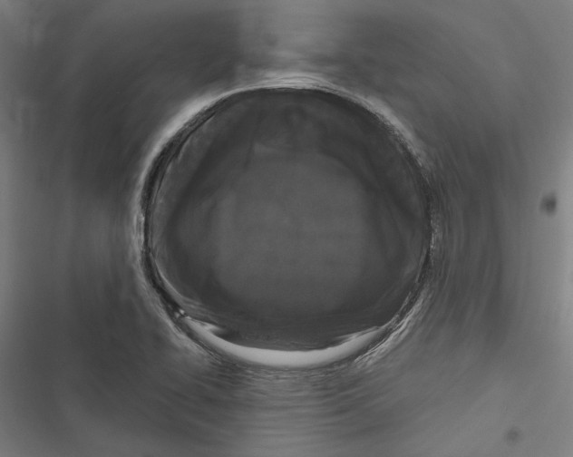 X0000116851414201001191631