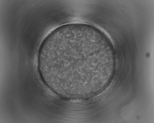 X0000116851415201001191631
