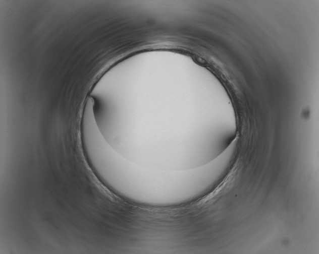 X0000116851417201001191631