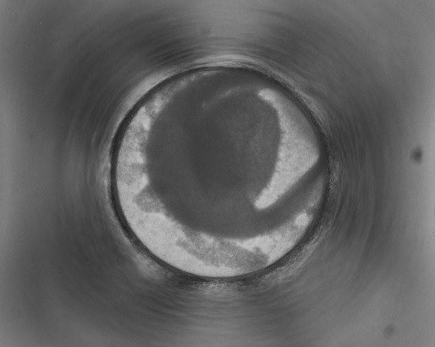 X0000116851418201001191631
