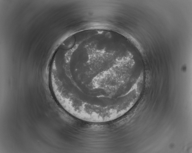 X0000116851419201001191631