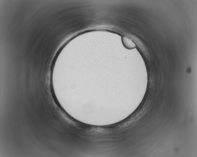 X0000116851420201001191631