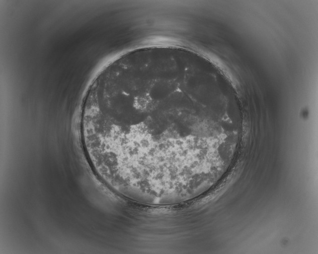 X0000116851421201001191631