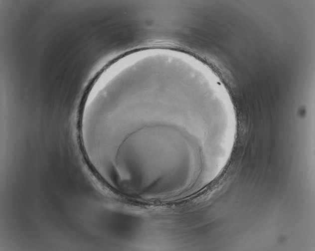 X0000116851422201001191631