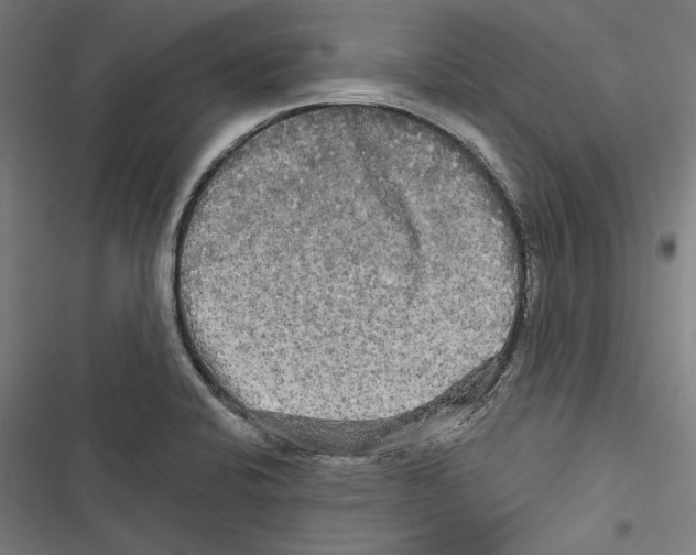 X0000116851424201001191631
