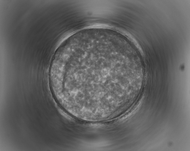 X0000116851425201001191631
