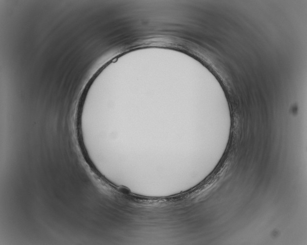 X0000116851426201001191631