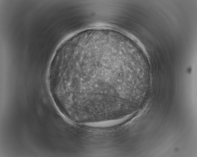 X0000116851429201001191631